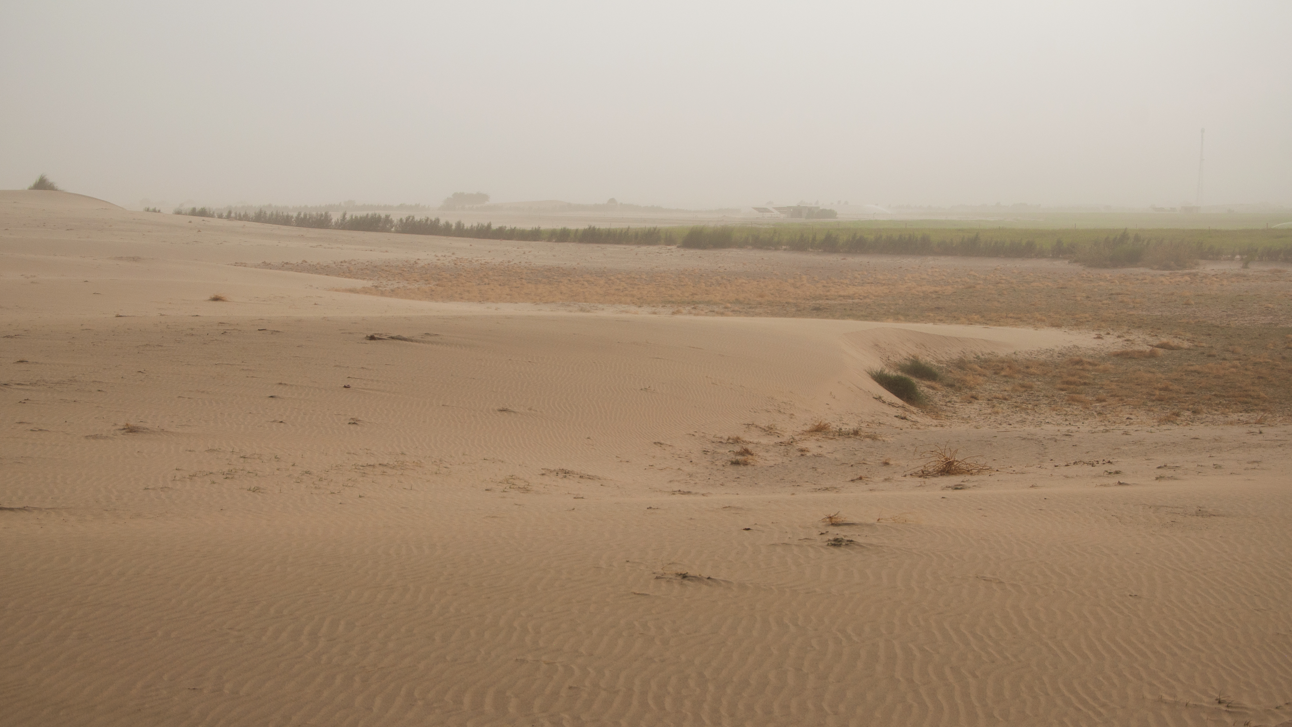 Arid Sand Dunes